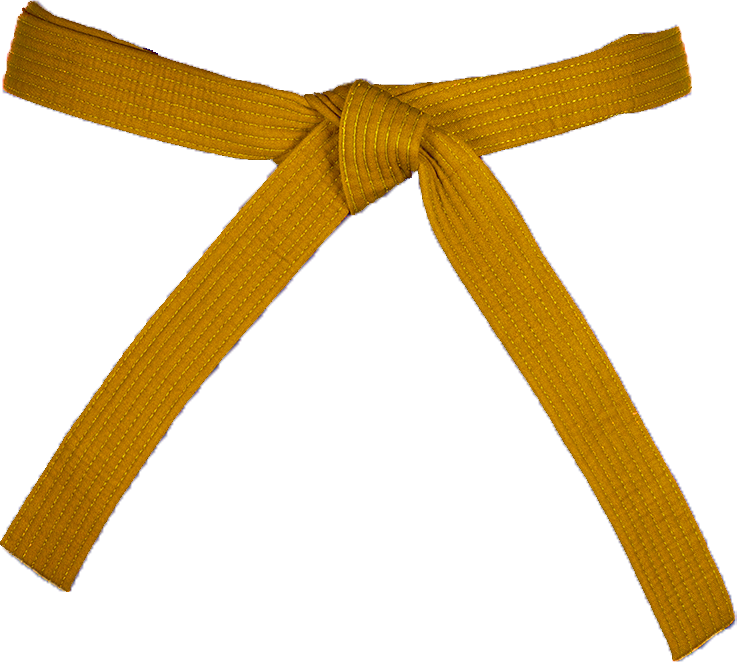 الحزام البرتقالي